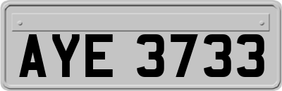 AYE3733