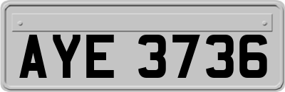 AYE3736