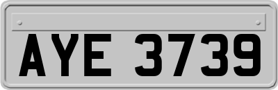 AYE3739
