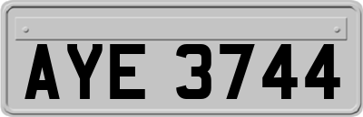 AYE3744
