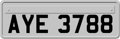AYE3788