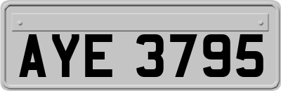 AYE3795