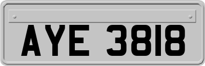 AYE3818