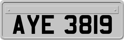 AYE3819