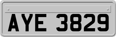 AYE3829
