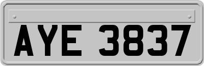 AYE3837