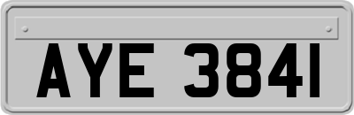 AYE3841