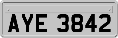 AYE3842