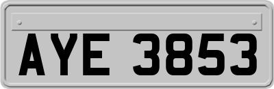AYE3853