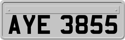 AYE3855