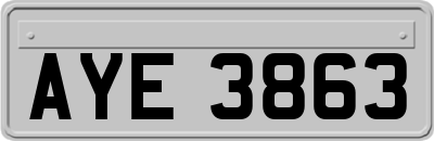 AYE3863