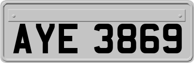 AYE3869