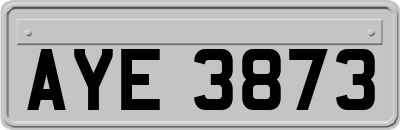 AYE3873