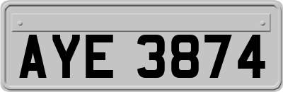 AYE3874