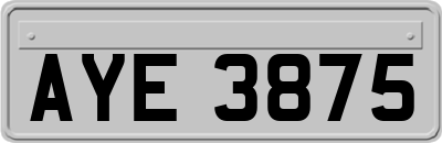 AYE3875
