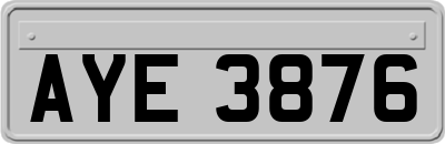 AYE3876