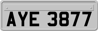 AYE3877