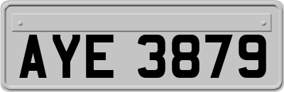 AYE3879