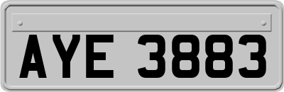 AYE3883