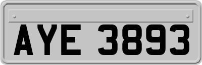 AYE3893