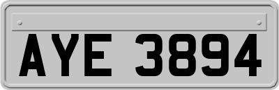 AYE3894