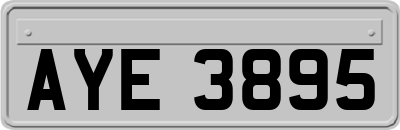 AYE3895