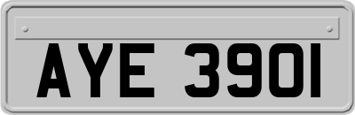 AYE3901