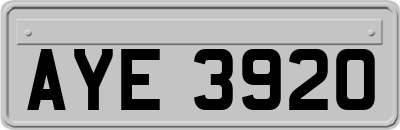 AYE3920
