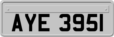 AYE3951