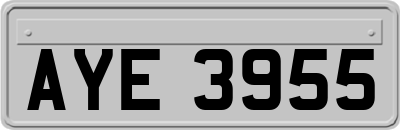 AYE3955