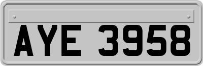AYE3958