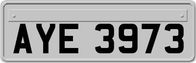 AYE3973