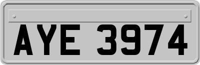 AYE3974