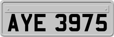 AYE3975