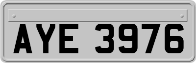 AYE3976