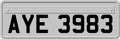 AYE3983