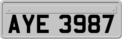 AYE3987