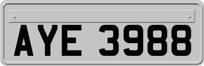 AYE3988