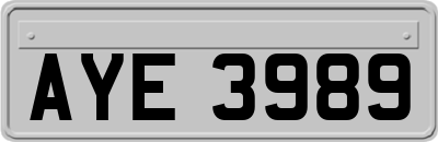 AYE3989