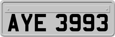 AYE3993