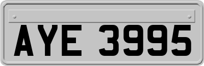 AYE3995