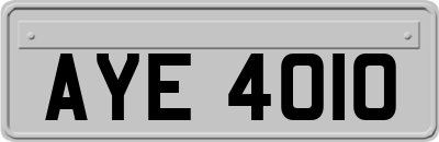 AYE4010