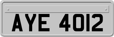 AYE4012