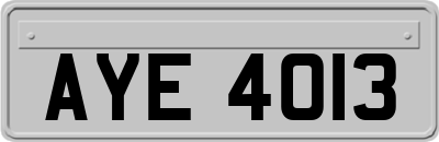 AYE4013