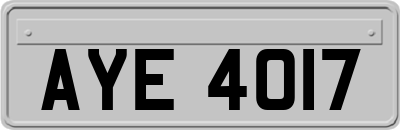 AYE4017