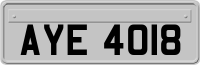 AYE4018