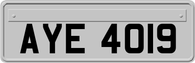 AYE4019