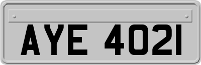 AYE4021