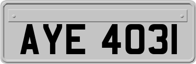 AYE4031