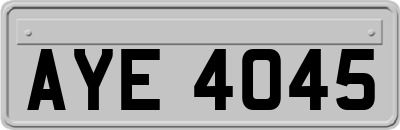 AYE4045